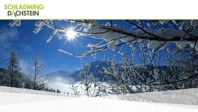 Hotel Vitaler Landauerhof Schladming Ngoại thất bức ảnh
